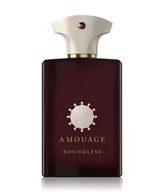Wody i perfumy męskie - Amouage Odyssey Boundless Woda perfumowana 100 ml - miniaturka - grafika 1