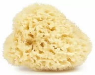 Rękawice i gąbki do kąpieli - Naturalna Gąbka Śródziemnomorska, Najel, 1 szt. - miniaturka - grafika 1