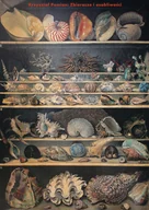 Książki o kulturze i sztuce - Zbieracze i osobliwości. Paryż-Wenecja XVI-XVIII wiek - Krzysztof Pomian - książka - miniaturka - grafika 1