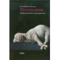 Religia i religioznawstwo - Biblioteka Więzi Andrzej Draguła Bluźnierstwo między grzechem a przestępstwem - miniaturka - grafika 1