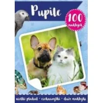 MD Creative 100 naklejek z plakatem. Pupile - praca zbiorowa - Kolorowanki, wyklejanki - miniaturka - grafika 1