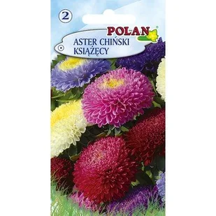 Aster Chiński Książęcy - Mieszanka Polan - Nasiona i cebule - miniaturka - grafika 1