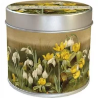 Świece - Skona Ting Zapachowa świeczka Przebiśniegi - zapach cytrynowy - miniaturka - grafika 1