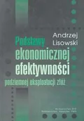 Biznes - Podstawy ekonomicznej efektywności podziemnej eksploatacji złóż - miniaturka - grafika 1