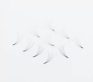 Wonder Lashes Rzęsy Premium Volume Fans 5D Sypane Skręt: C, Długość: 10 - Sztuczne rzęsy i akcesoria - miniaturka - grafika 3