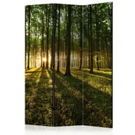 Parawany - Parawan 3-częściowy - Poranek w lesie [Room Dividers] (rozmiar 135x172) - miniaturka - grafika 1
