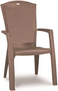 ALLIBERT Krzesło ogrodowe Minnesota Dining, cappuccino, 65x61x99 cm - Fotele i krzesła ogrodowe - miniaturka - grafika 1