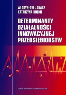 Determinanty Działalności Innowacyjnej Przedsiębiorstw - Biznes - miniaturka - grafika 1