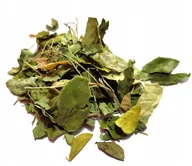 Herbata - Moringa Oleifera Liść 1kg - miniaturka - grafika 1