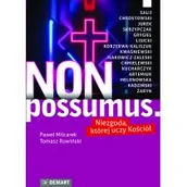 Religia i religioznawstwo - Non possumus - miniaturka - grafika 1