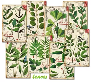 Papiery Do Scrapbookingu - Bileciki Prezentowe – Karneciki Zestaw M124 Liście 24szt - Scrapbooking - miniaturka - grafika 1