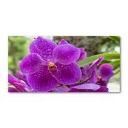 Obrazy i zdjęcia na płótnie - Obraz zdjęcie na ścianę akryl Orchidea - miniaturka - grafika 1