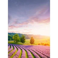 Ramki na zdjęcia - Obraz Glasspik Nature 50 x 70 GL330 TUSCAN - miniaturka - grafika 1