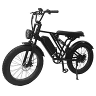 Rowery elektryczne - YANGOR Y-24 Electric Bike 250W Motor 48V 20AH Battery 24*4 0-inch Tire 42km/h Max Speed 120km Max Range Mechanical Disc B - miniaturka - grafika 1