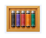 Naboje i atramenty - Atramenty Jacques Herbin Essentielles 5 x 15ml Solaris set - miniaturka - grafika 1