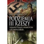 Historia świata - Podziemia III Rzeszy Tajemnice Książa, Wałbrzycha - miniaturka - grafika 1