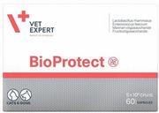 Suplementy i witaminy dla psów - VetExpert Bioprotect 60 kaps. Probiotyk - miniaturka - grafika 1