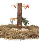 Akcesoria dla gryzoni - Trixie Karmnik Natural Living feeding tree, o 25 × 36 cm - miniaturka - grafika 1