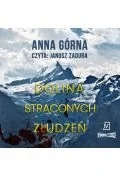 Audiobooki - kryminał, sensacja, thriller - CD MP3 Dolina straconych złudzeń. Piotr Sauer. Tom 2 - miniaturka - grafika 1
