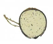 Karma dla ptaków - Garden&amp;Fun Karma tłuszczowa dla ptaków wolnożyjących w połówce kokosa 200g - miniaturka - grafika 1