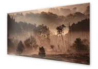 Dekoracje domu - Panel kuchenny HOMEPRINT Mgliste drzewa 100x50 cm - miniaturka - grafika 1