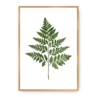 Plakaty - Dekoria Dekoria Plakat Fern Green 50 x 70 cm Ramka Złota 222H-000-08 - miniaturka - grafika 1