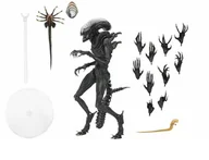 Figurki dla dzieci - ALIEN: Romulus Ultimate Figurka 23 cm Scorched Xenomorph OBCY - miniaturka - grafika 1
