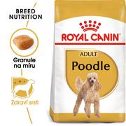 Sucha karma dla psów - Royal Canin Poodle Adult 0,5 kg - miniaturka - grafika 1