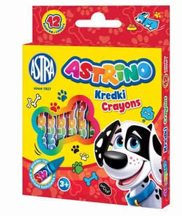 Astra TARGI Kredki grafionowe 12 kolorów Astrino Astra TARGI AE512AST - Przybory szkolne - miniaturka - grafika 1