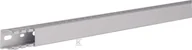 Kanały kablowe - Hager polo tehalit.HNG Kanał grzebieniowy bezhalogenowy 25x25mm PC-ABS jasnoszary HNG25025 2m HNG25025 - miniaturka - grafika 1