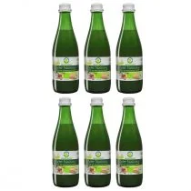 Bio Food Seler naciowy 100% ekologiczny kiszony zgrzewka 6 x 300 ml Bio - Soki i napoje niegazowane - miniaturka - grafika 1