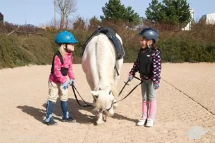 Farma pony Nauka jazdy konnej dla dzieci - Vouchery - miniaturka - grafika 1