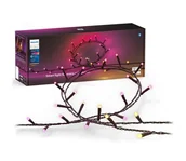 Lampy ogrodowe - Philips-LED RGBW Ściemnialny zewnętrzny łańcuch bożonarodzeniowy HUE WACA 500xLED 44,4 m IP54 - miniaturka - grafika 1