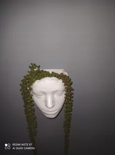 Wisząca doniczka,osłonka -głowa - Donice - miniaturka - grafika 1