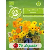 Nasiona i cebule - Nagietek lekarski mieszanka nasiona 1g W. Legutko - miniaturka - grafika 1