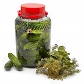 Pojemniki kuchenne - SŁOIK SZKLANY Z POKRYWKĄ NA PRZETWORY OGÓRKI kapustę paprykę duży słój 5 L - miniaturka - grafika 1