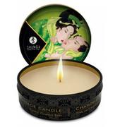 Masaż erotyczny - Shunga (CAN) Zenitude / Exotic Green Tea Massage Candle 30 ml 8407704 - miniaturka - grafika 1