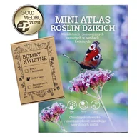 Nasiona i cebule - Bomby kwietne - Dzika Łąka + Mini Atlas Roślin Dzikich - miniaturka - grafika 1