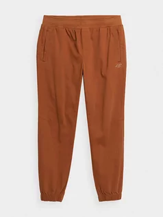 Spodnie męskie - 4F Spodnie w kolorze ceglanym - grafika 1