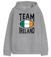 Bluzy męskie - Republic Of California "Team Ireland" UXREPCZSW038 Bluza męska, Melange Grey, Rozmiar XS, Szary Melange, XXL - miniaturka - grafika 1