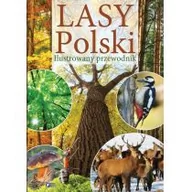 Książki edukacyjne - Fenix Lasy Polski - Fenix - miniaturka - grafika 1