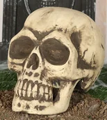 Halloween - GU Czaszka na Halloween - 32 cm - 1 szt. GU26278 - miniaturka - grafika 1