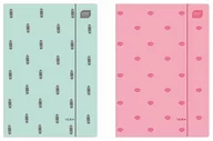 Teczki i skoroszyty - Interdruk Teczka z gumką Pap A4 Int Soft Touch - miniaturka - grafika 1