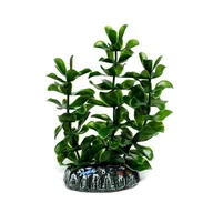 Dekoracje do akwarium - HOBBY Sztuczna roślina akwariowa Bacopa 13cm (51556) - miniaturka - grafika 1