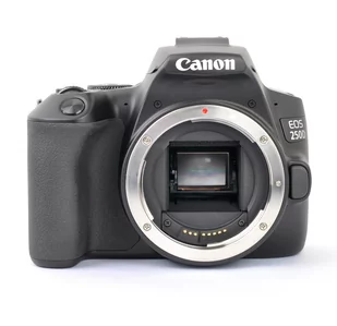 CANON EOS 250D + EF-S 18-135 NANO - Aparaty Cyfrowe - miniaturka - grafika 3