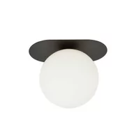 Lampy sufitowe - Emibig Plaza lampa sufitowa 1-punktowa czarna/biała 1118/1 - miniaturka - grafika 1