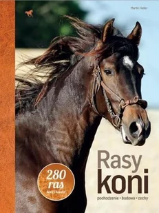 Rasy koni Nowa - Rośliny i zwierzęta - miniaturka - grafika 2