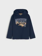 Swetry dla chłopców - Sinsay - Bluza - granatowy - miniaturka - grafika 1