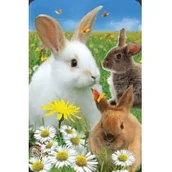 Przybory szkolne - Minikartka 3D Królik WORTH-KEEPING - miniaturka - grafika 1