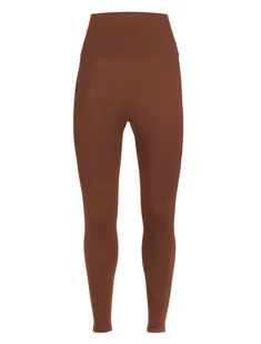 Kalesony damskie Icebreaker Fastray High Rise Tights Grape S - Bielizna sportowa damska - miniaturka - grafika 1